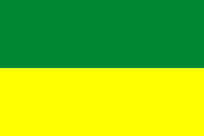 Afbeelding van de vlag van Den Haag